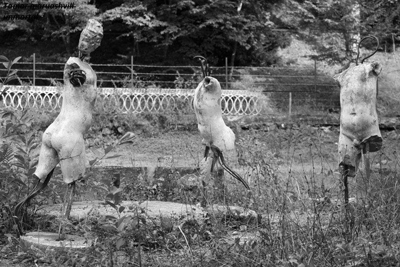 დამტვრეული ქანდაკებები და ფოტოზე გადატანილი ტკივილიანი სახეები Rating